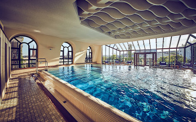 Hotel Nassauer Hof Ein Mitglied der Hommage Luxury Hotels Collection: 泳池
