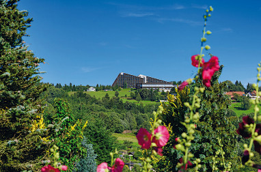 IFA Schöneck Hotel & Ferienpark: Vista externa