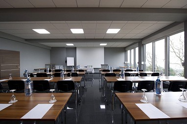 Design-Konferenzhotel & Restaurant Steinernes Schweinchen: Toplantı Odası