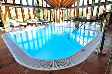 Schlosshotel Weyberhöfe: 泳池