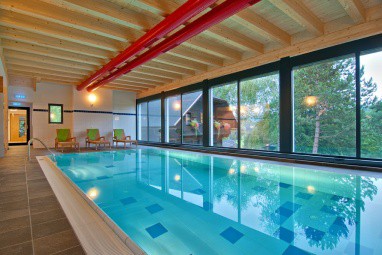Naturel Hoteldorf Schönleitn: 泳池