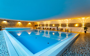 Hotel Rhön Residence: 泳池