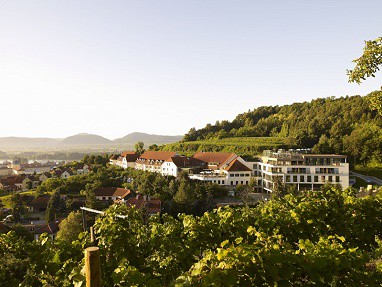Steigenberger Hotel and Spa Krems: Widok z zewnątrz
