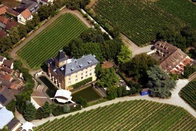Hotel Schloss Edesheim: 外景视图