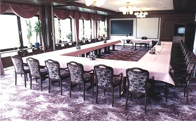 Ferienhotel Stockhausen: Toplantı Odası