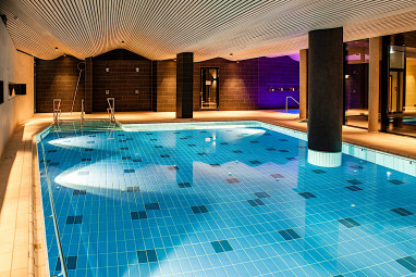 SPA Hotel AMSEE: 泳池