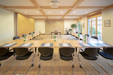 Golfhotel Les Hauts de Gstaad & SPA: 회의실