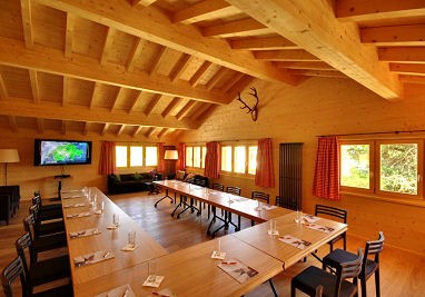 Schatzalp Snow and Mountain Resort: Sala de conferências
