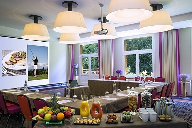 Evian Resort ERMITAGE: Sala de reuniões