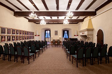 Schloss Beichlingen: Salle de réunion