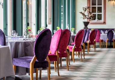 Romantik Hotel Landschloss Fasanerie: конференц-зал