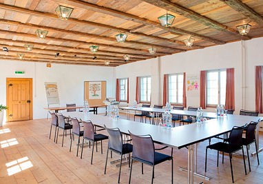 Greuterhof Islikon: Sala de conferências