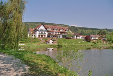 Seehotel Gut Dürnhof: Vista esterna