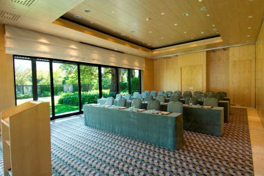 Vineyard Hotel : Sala de conferências
