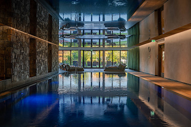 Relais & Châteaux Gut Steinbach Hotel Chalets SPA: 泳池