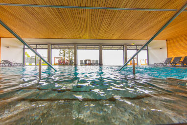 Bodensee-Hotel Sonnenhof: 泳池