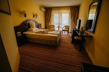 Hotel Astoria: 客室