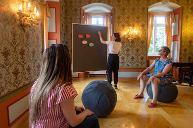 Schloss Sennfeld - Schloss Akademie & Eventlocation: Toplantı Odası