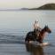 Dunk Island Resort